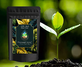 NPK Rich Plant Food