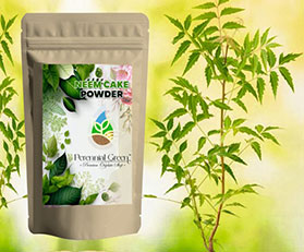 Neem Cake  Powder