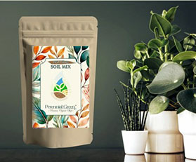 Potting Soil Mix