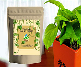 Money Plants